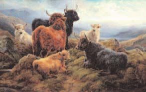 Robert Watson