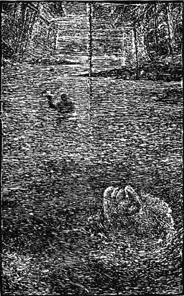 Flugträume. Bear Press 1983