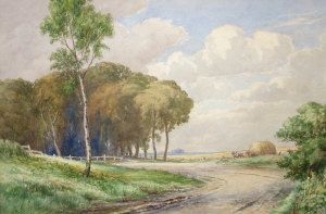 Haymaking
