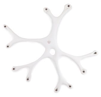 Citoaninapylea