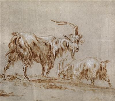 Two goats