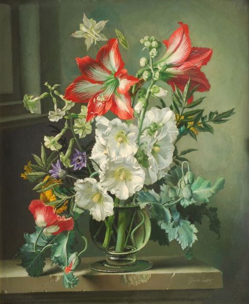 Amaryllis