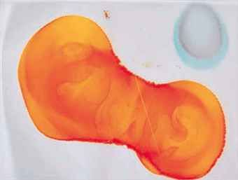 Untitled (Colour)