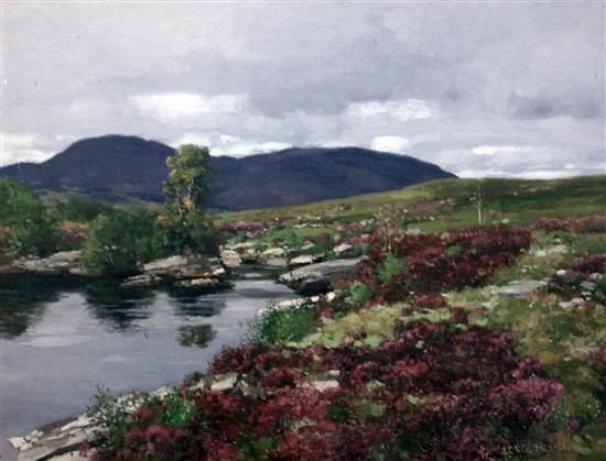 Heather beside a moorland stream