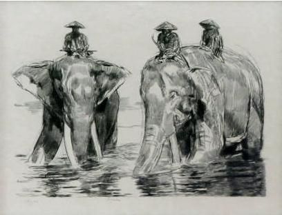 Eléphants et cornacs au bain