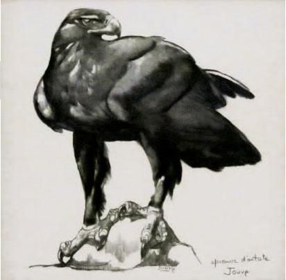 Aigle royal