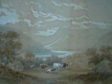 Cattle in mountain landscape
