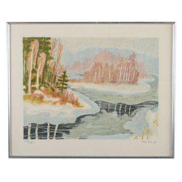 Vintermotiv med vatten och skog