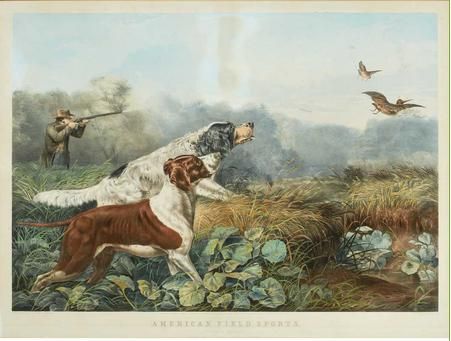 AMERICAN FIELD SPORTS, A CHANCE FOR BOTH BARRELS (G. 161)