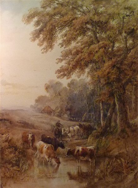 Cattle Watering with Working Horses following