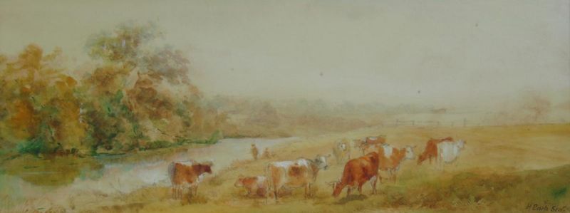 Cattle in river landscape