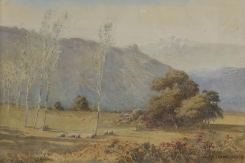 Sheep grazing among trees, hills beyond
