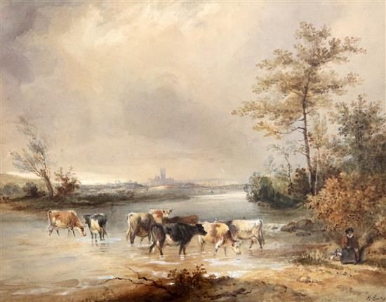 Cattle through a river near Canterbury