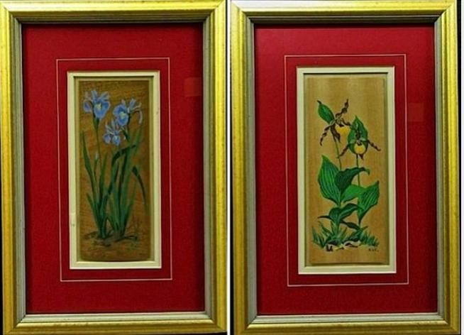 FLORAL STUDIES