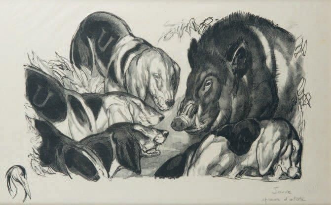 Sanglier au ferme
