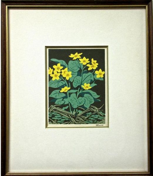 MARSH MARIGOLDS