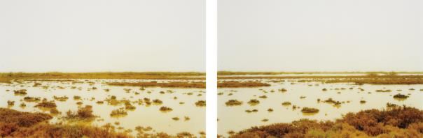 Les Paradis I and II
