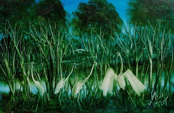 Waterbirds on the Creek