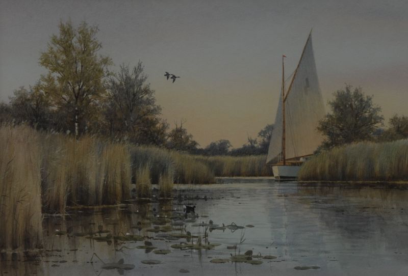 The Peaceful Sail