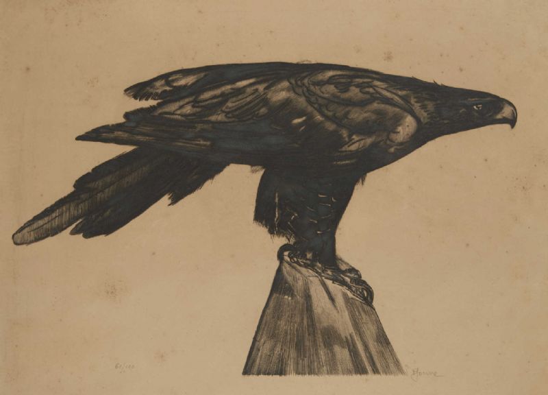 Aigle