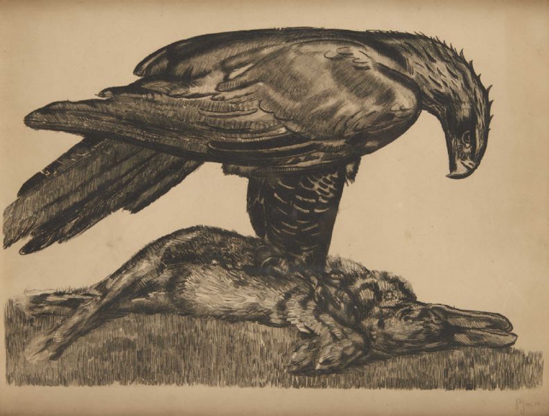 Aigle enserrant un lièvre