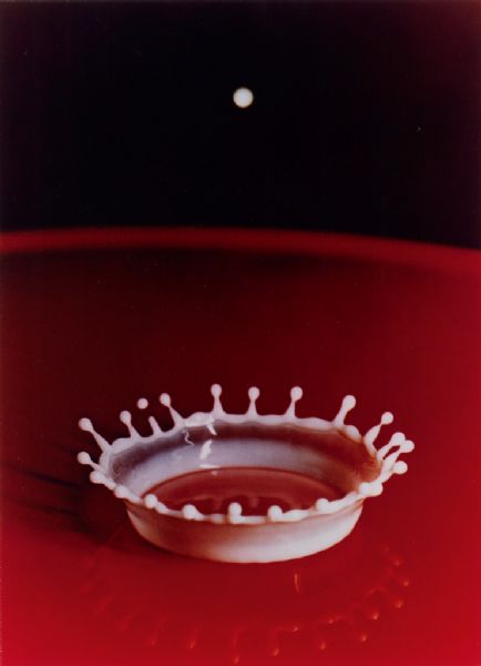 Milk Drop Coronet
