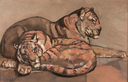 Two reclining tigers, circa 1955