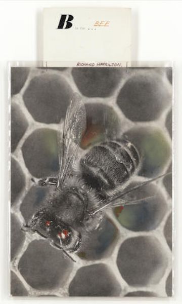 B is for Bee