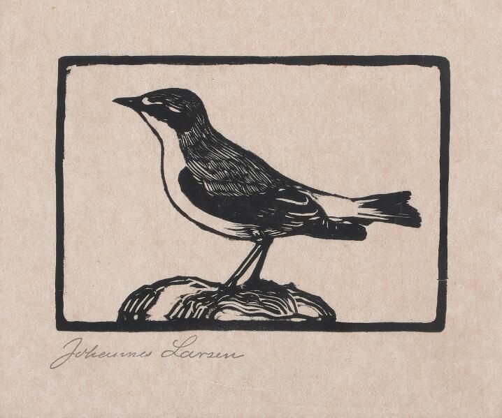 A Northern Wheatear and a European Robin.