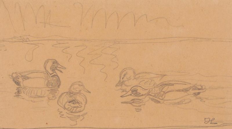 Scenery with ducks in the water