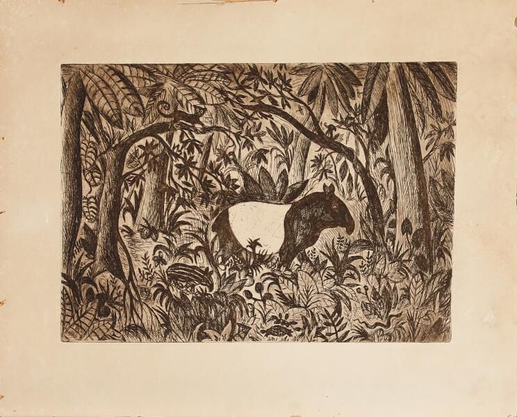 Tapir