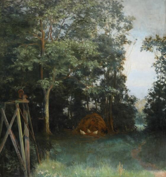 Scenery form a backyard with chickens