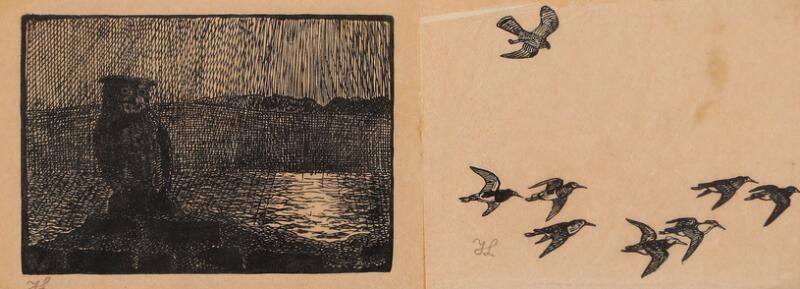 Scenery with a owl and a hawk attacking birds