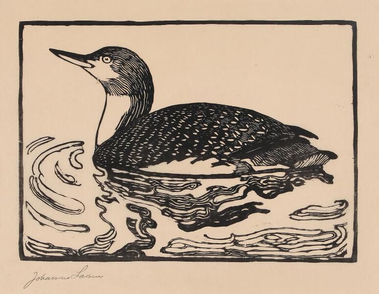 A loon