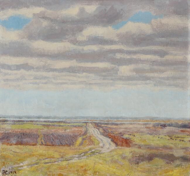 An open landscape in cloudy weather.
