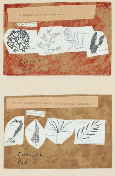 “Cirrus” and “Cumulus”