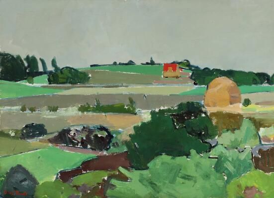 Summer landscape