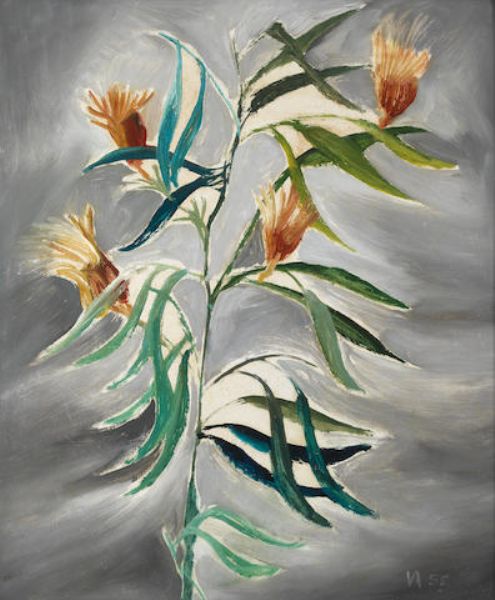 Plant Study