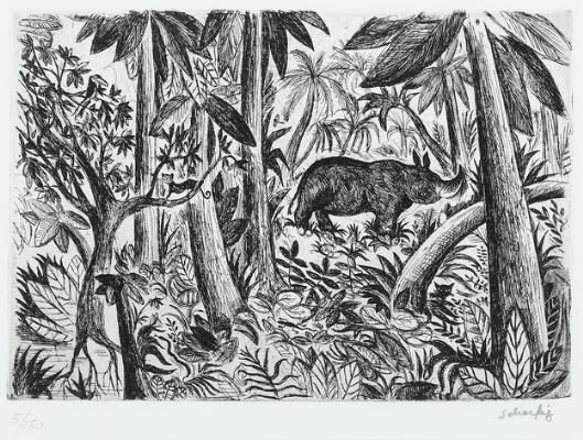 Rhino in the jungle