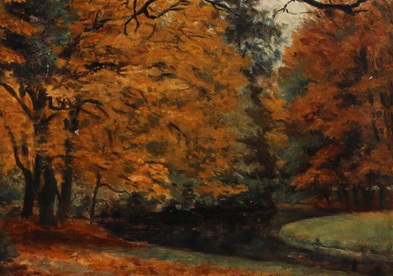 Autum forest scenery