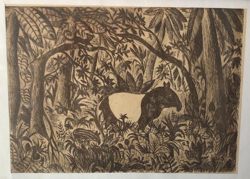 Tapir in the jungle