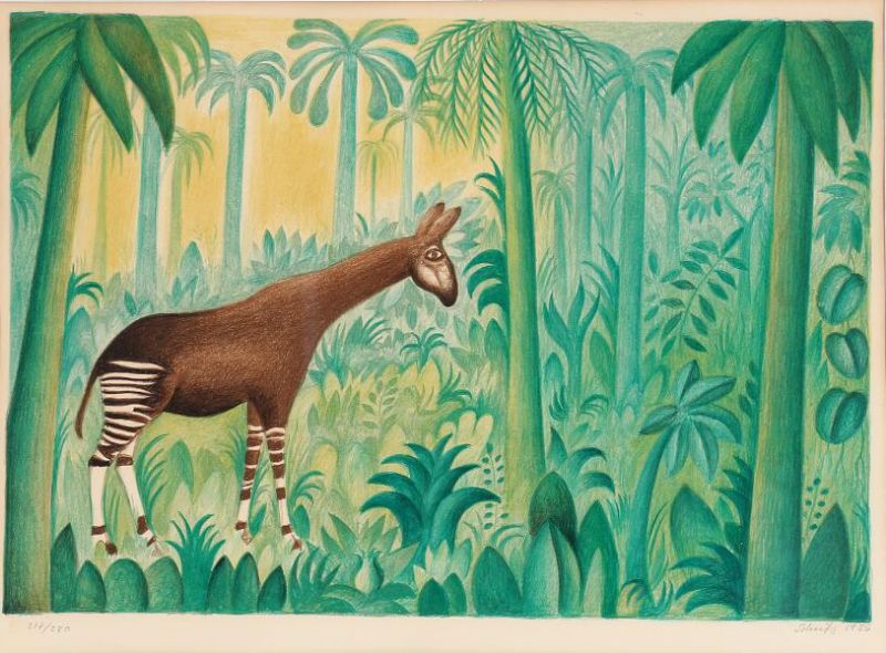 Okapi