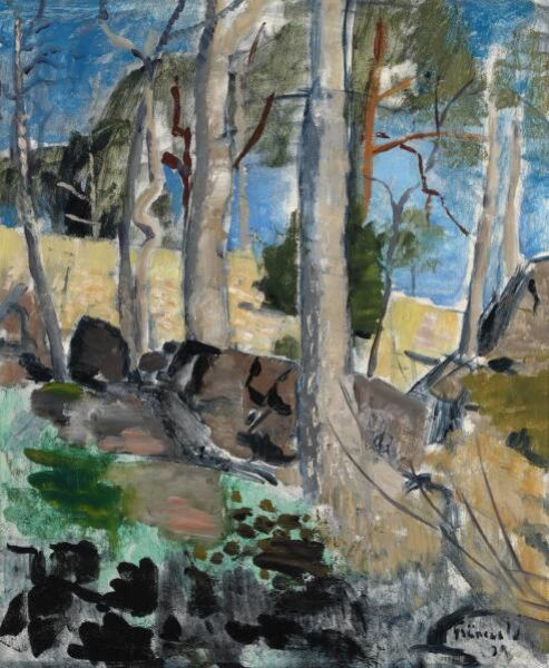 Sunlight between the trees, Saltsjöbaden, Sweden