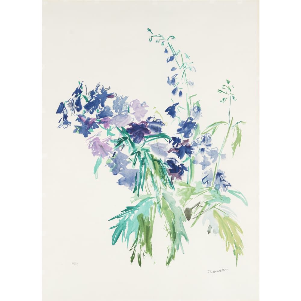 Delphiniums