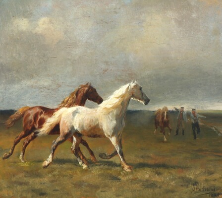 Horses