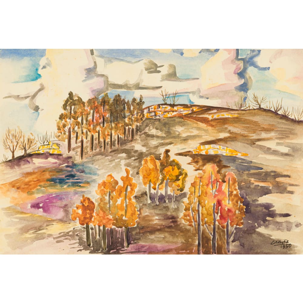 Forest Landscape