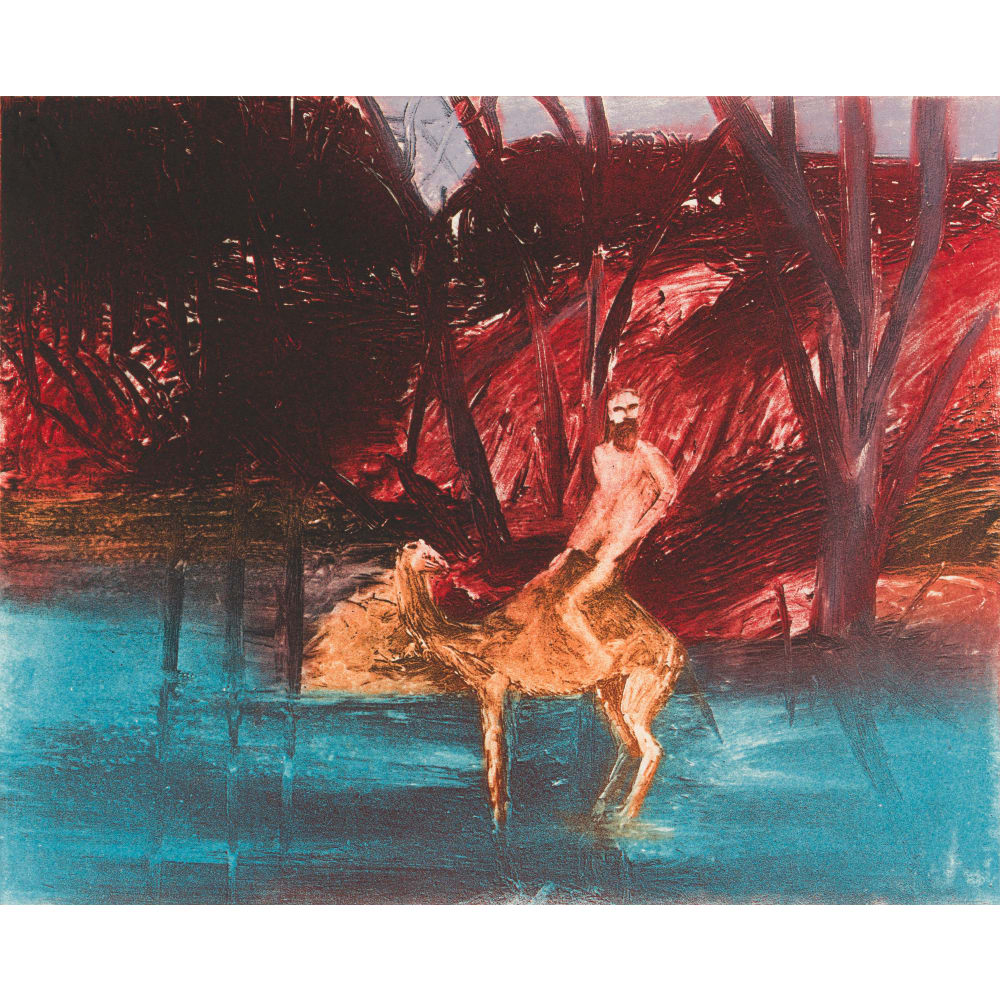Horse and Rider