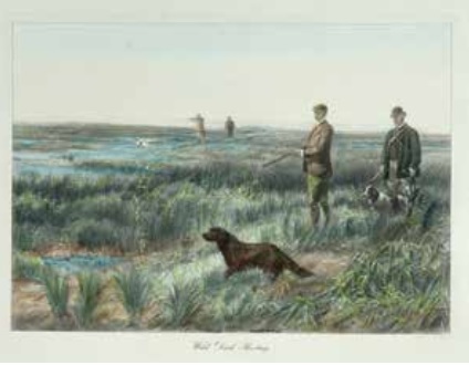 Hunting scenes