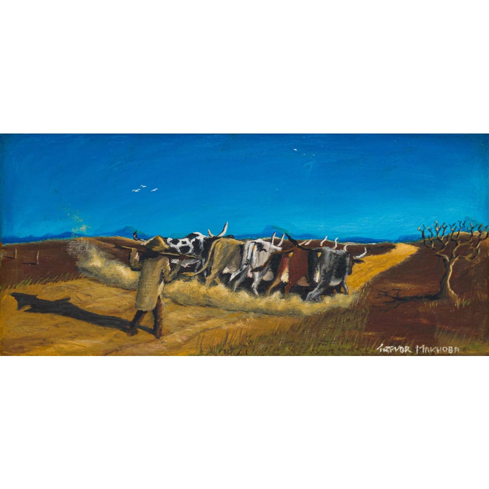 Herding Cattle