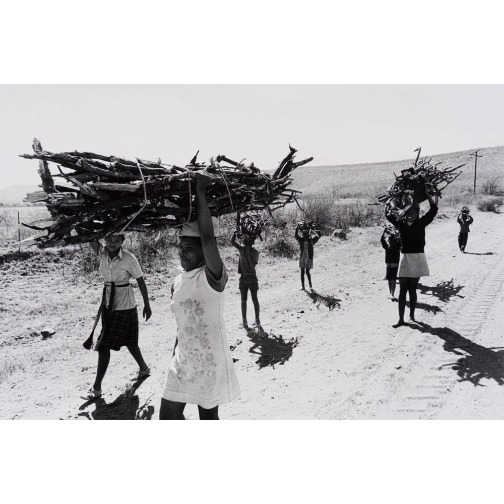 A Family Collecting Wood, Dinokana, North West Province 1980